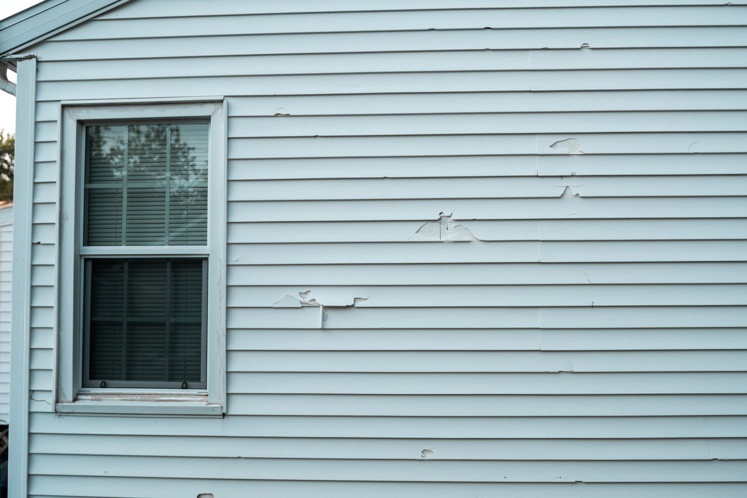 Damaged Siding